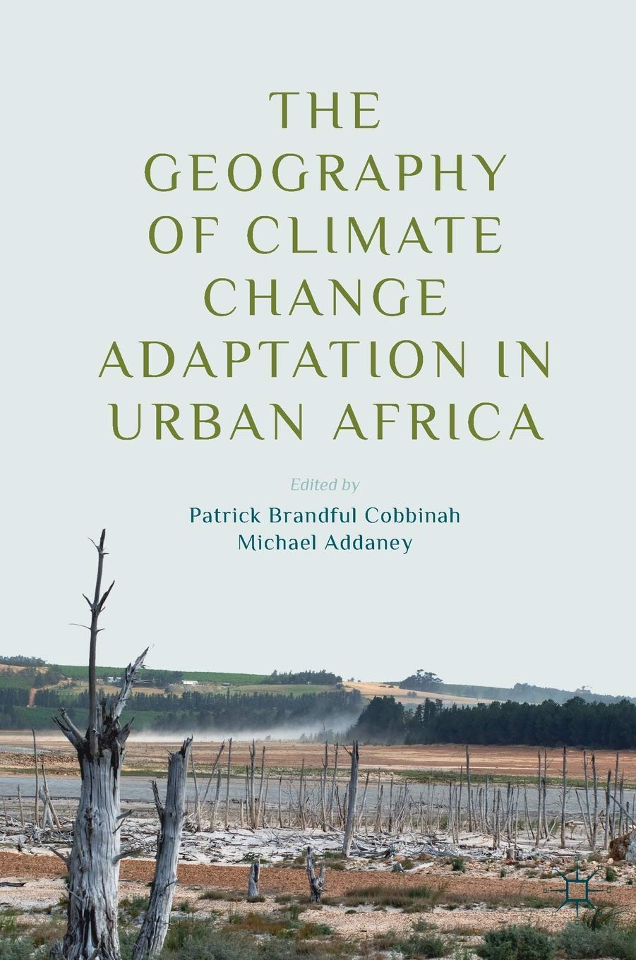 The Geography of Climate Change Adaptation in Urban Africa