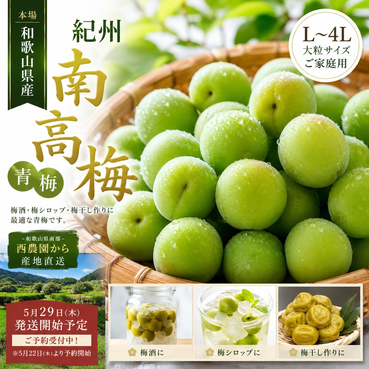 Amazon | [西農園] 和歌山県産 紀州南高梅 青梅 梅干し 梅 2kg L〜4L