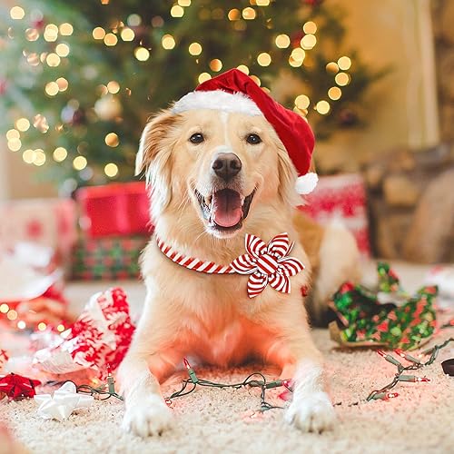 Miniatura 2 de Malier Collar de Navidad para perro con flor, collar rojo de Navidad con hebilla, collar de algodón ajustable para perros pequeños, medianos y
