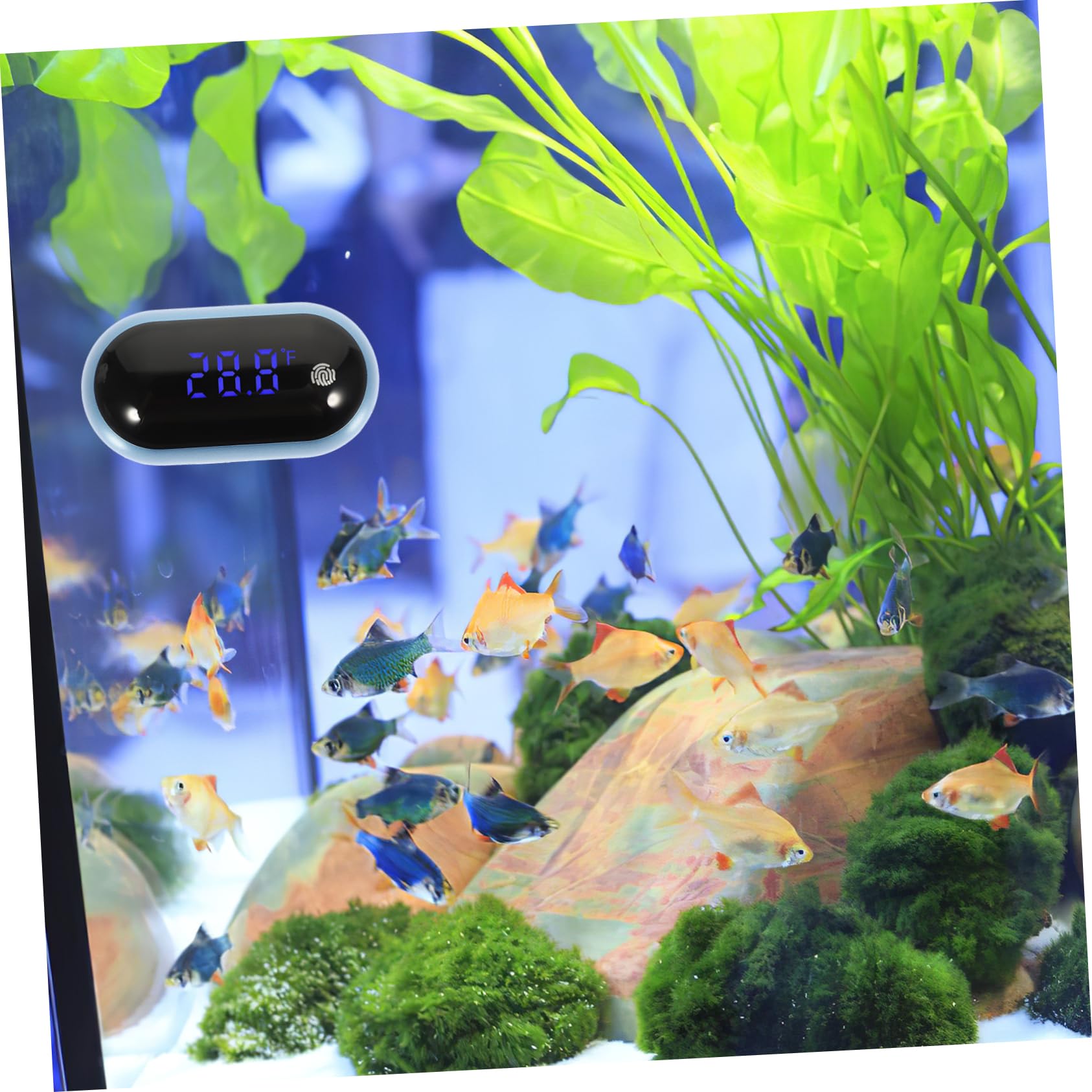 BESPORTBLE Professional Fish Tank Thermometer Digital Led Display Water Aquarium Easy Install