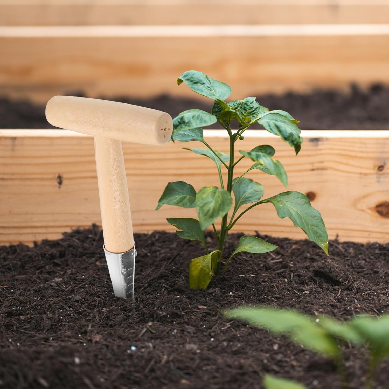 balacoo 5pcs Planter Tool T-Handle Soil Digger for Gardening for Accurate Hole Punching Sowing and Transplanting Your Garden