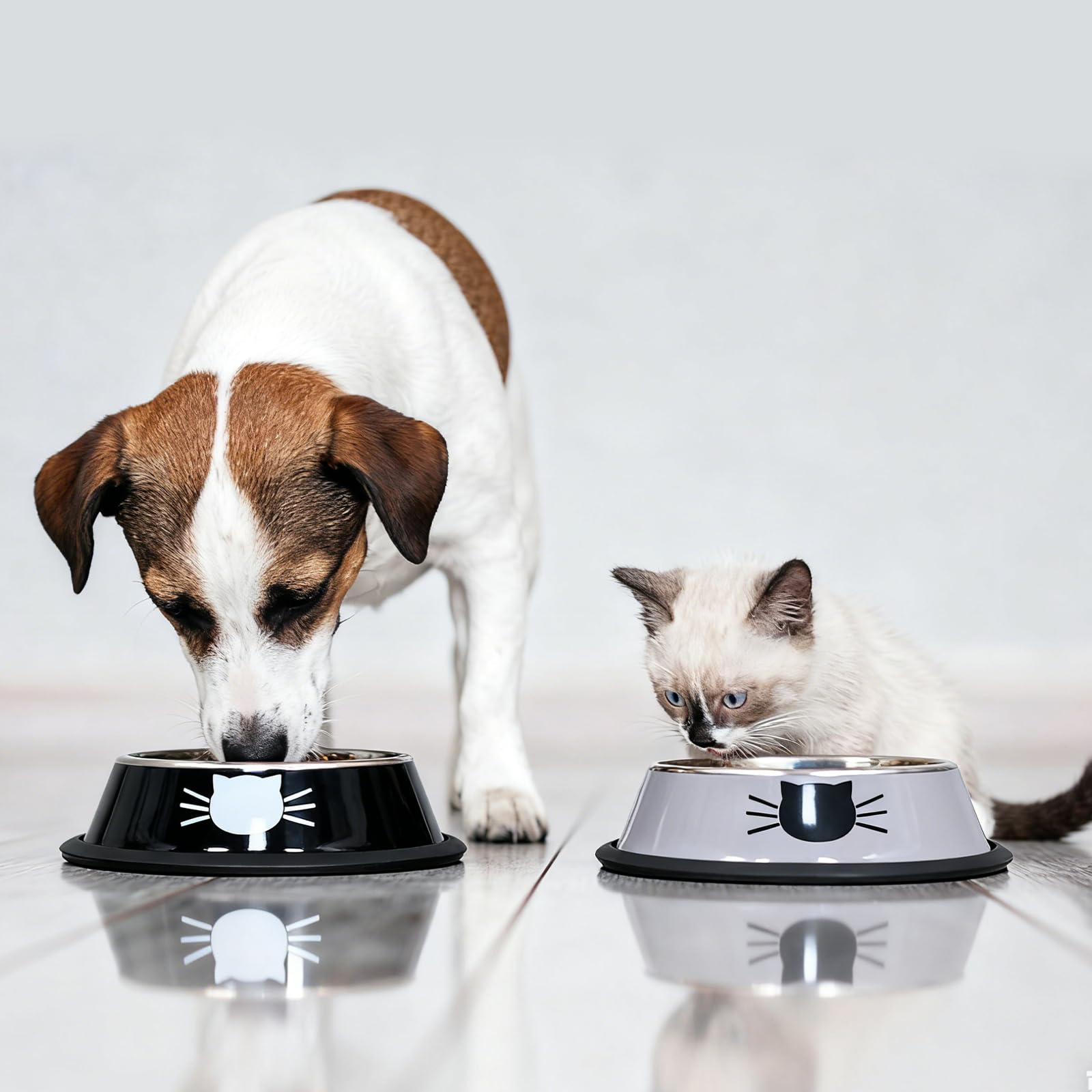 Set 2 Ciotole Cani e Gatti in Acciaio con Base Tappeto in Gomma per