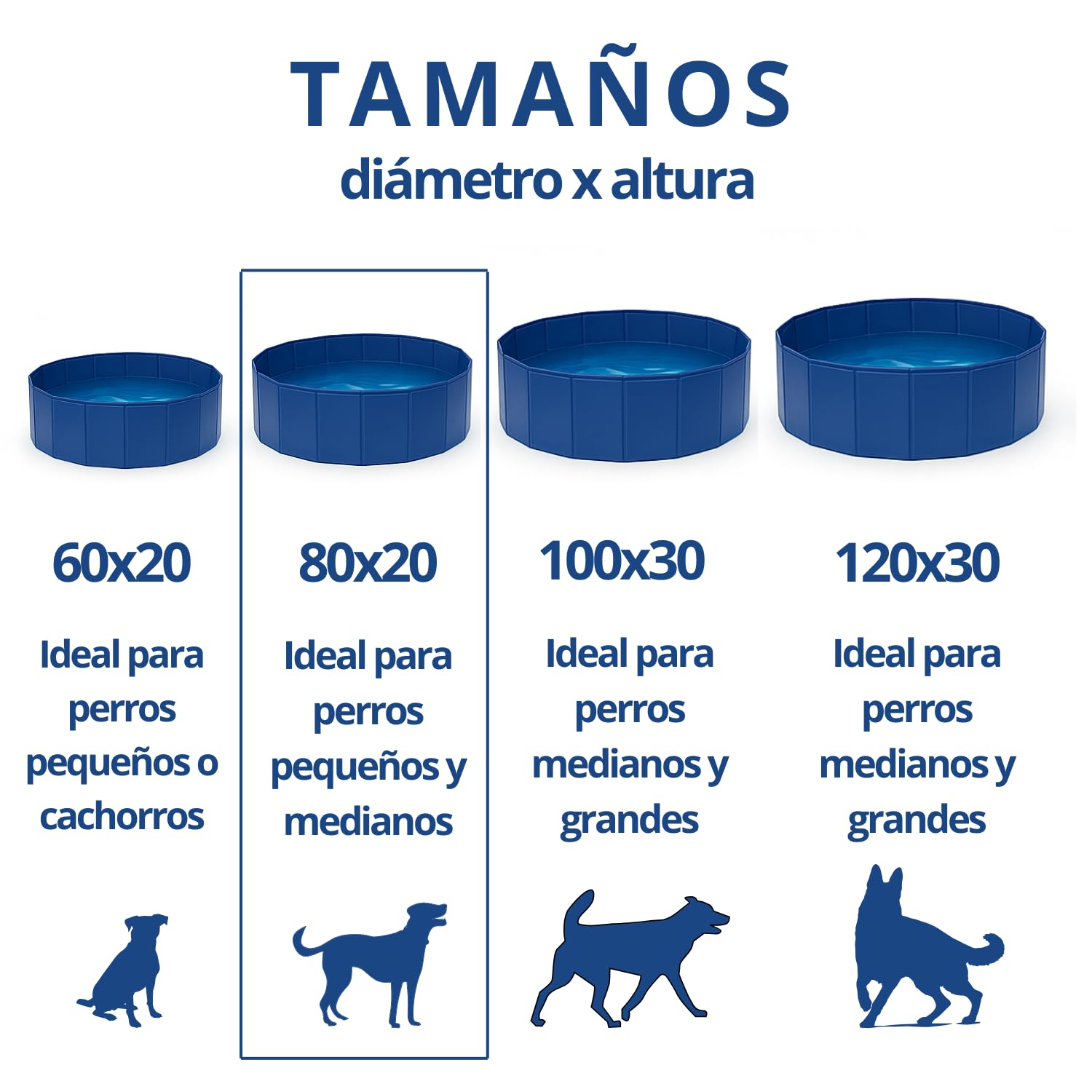 Piscina para Perros Grandes y Pequeños 80x20cm - Desmontable Rígida con Baño para Mascotas - Refrescar en el Verano