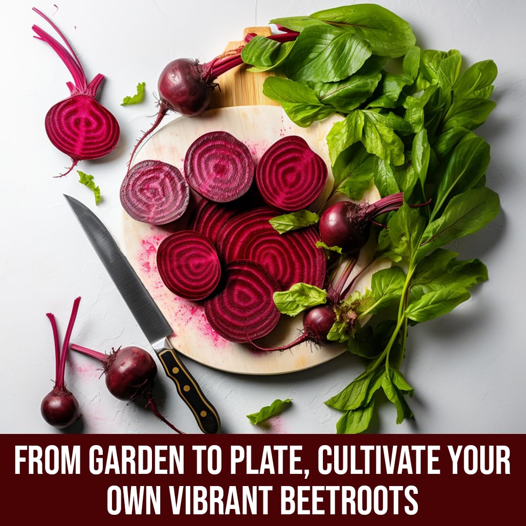 Sattvishtik Grow Box Beetroot Vegetable Kit for Kids | Pack of 1 | Eco Friendly Gift for Kids | Beginner Gardeners | DIY | Easy Grow it Yourself Gardening Kit for Home & Garden 4