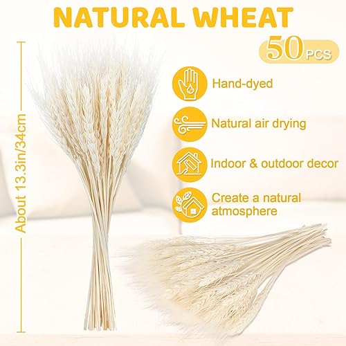 Miniatura 2 de Sukh Tallos de trigo seco blanco, 50 tallos de trigo blanco natural, ideal para decoración del hogar, mesa de boda, cocina, arreglos de otoño