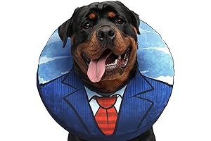 XL Large Dog Donuts After Surgery