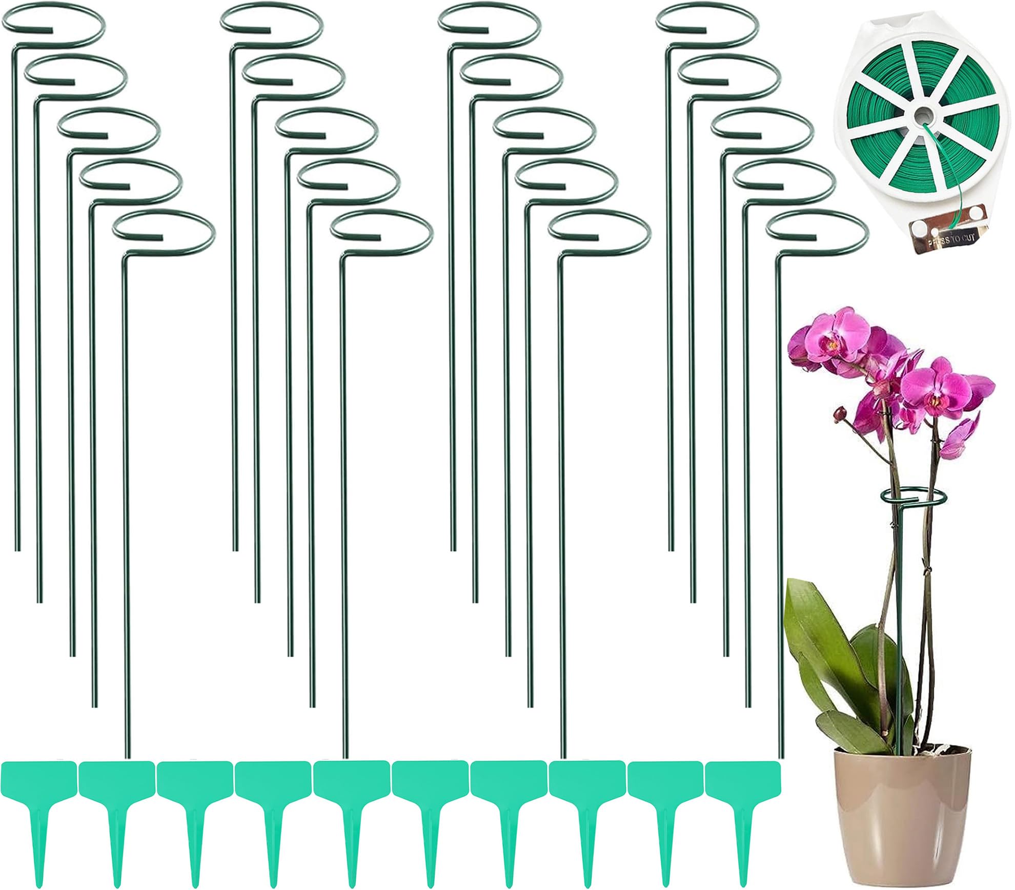 Supporto per piante, 40 cm, 20 pezzi, supporto per fiori, piante perenni, in acciaio, con anello per fiori, gigli, peonie, rose, pomodori