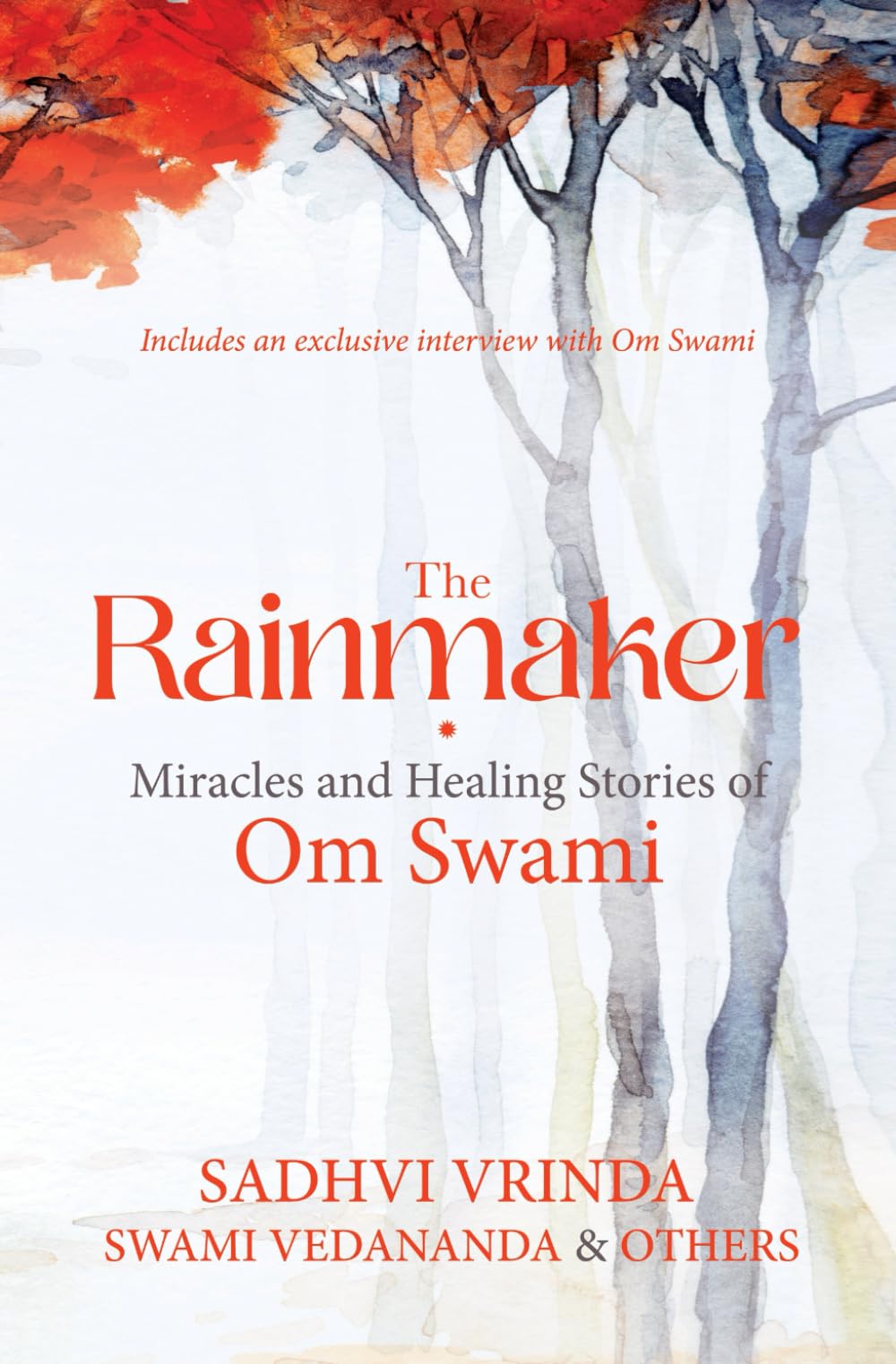 The Rainmaker: Miracles and Healing Stories of Om Swami