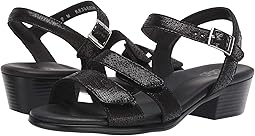 Web Black
