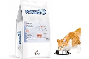 Forza10 Renal Health Cat Food | Kidney Care Cat Food