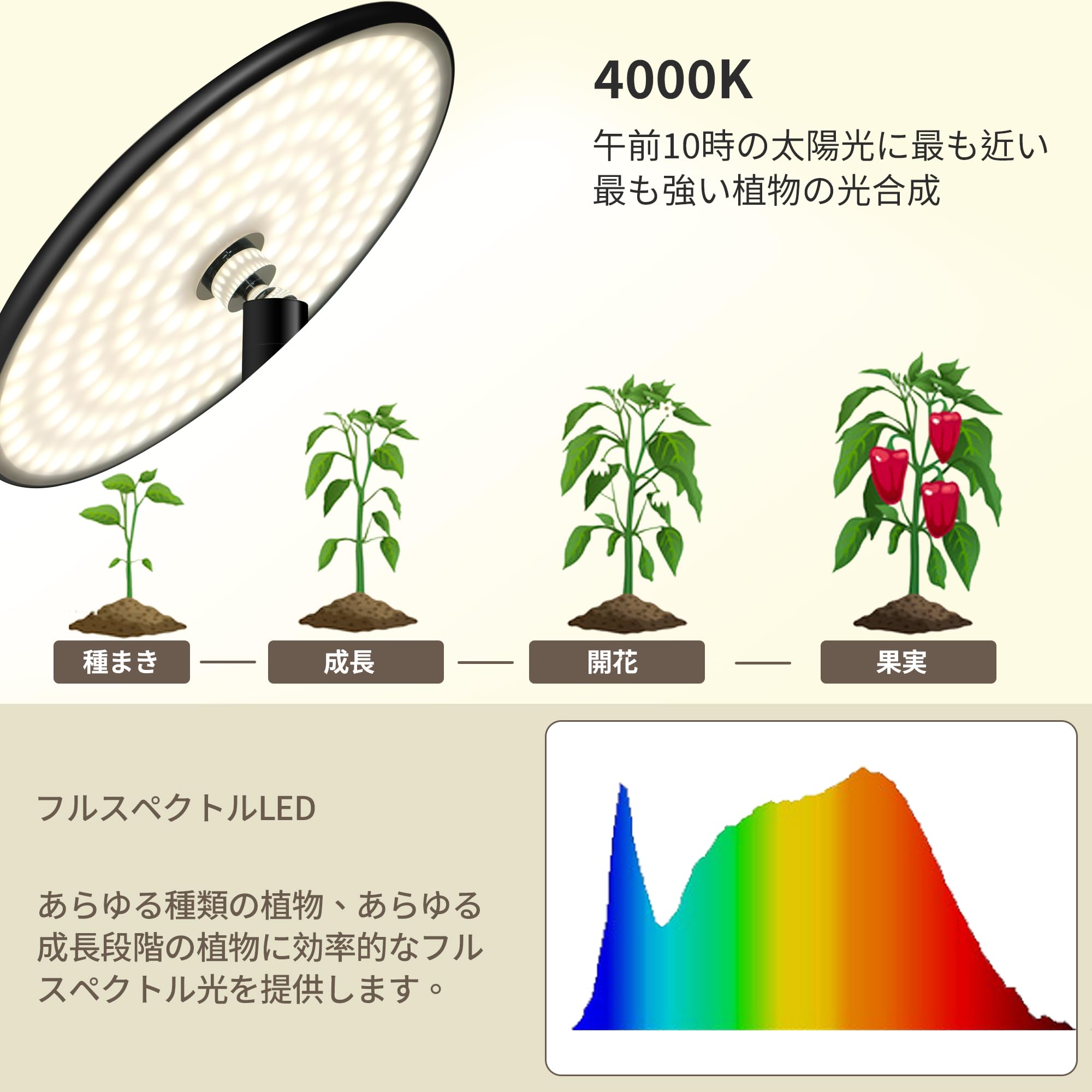 Amazon.co.jp: chiphyはライト、屋内植物のためのフルスペクトルLEDの