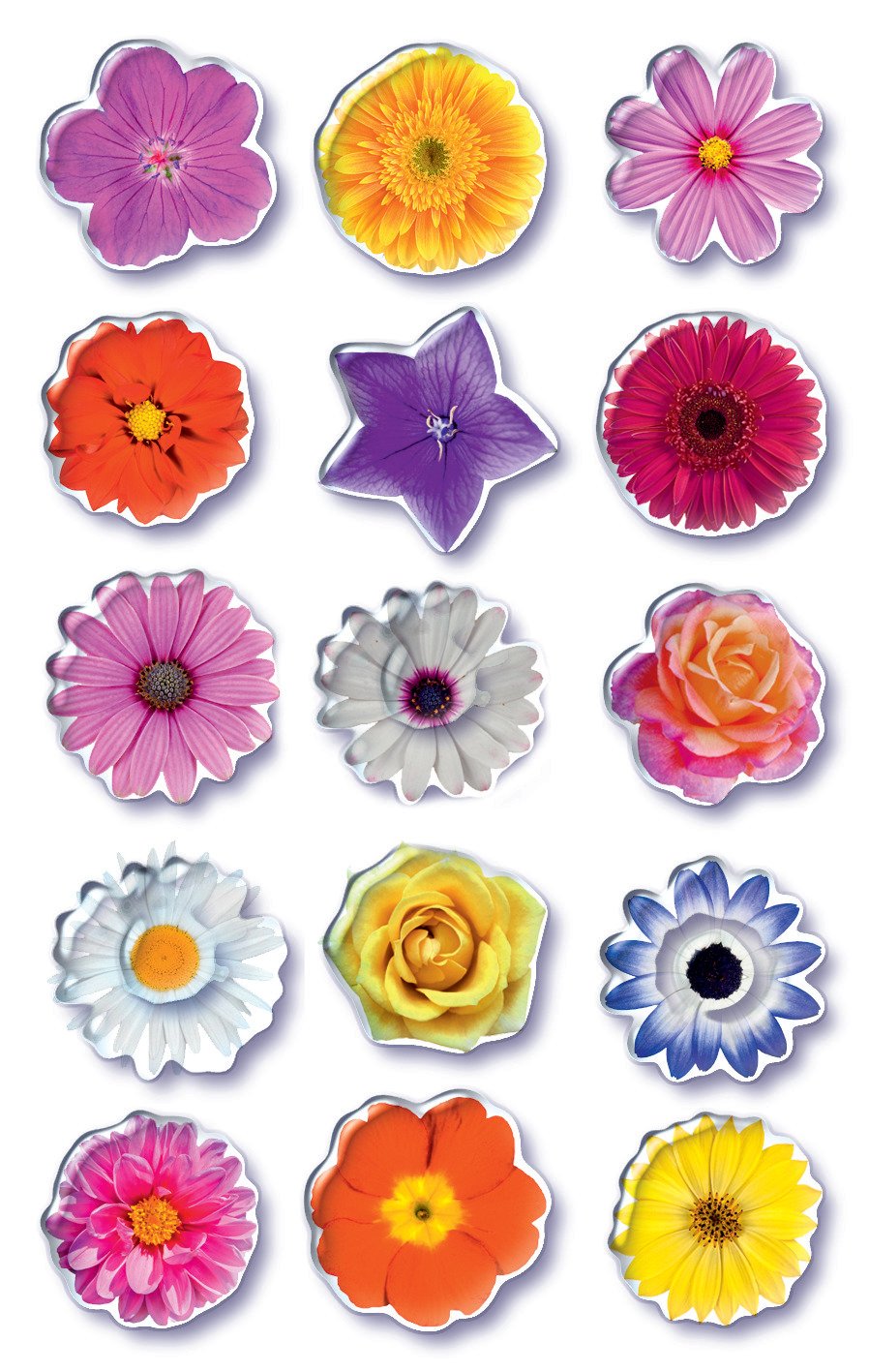 Avery Zweckform 3D Sticker Blumen Set