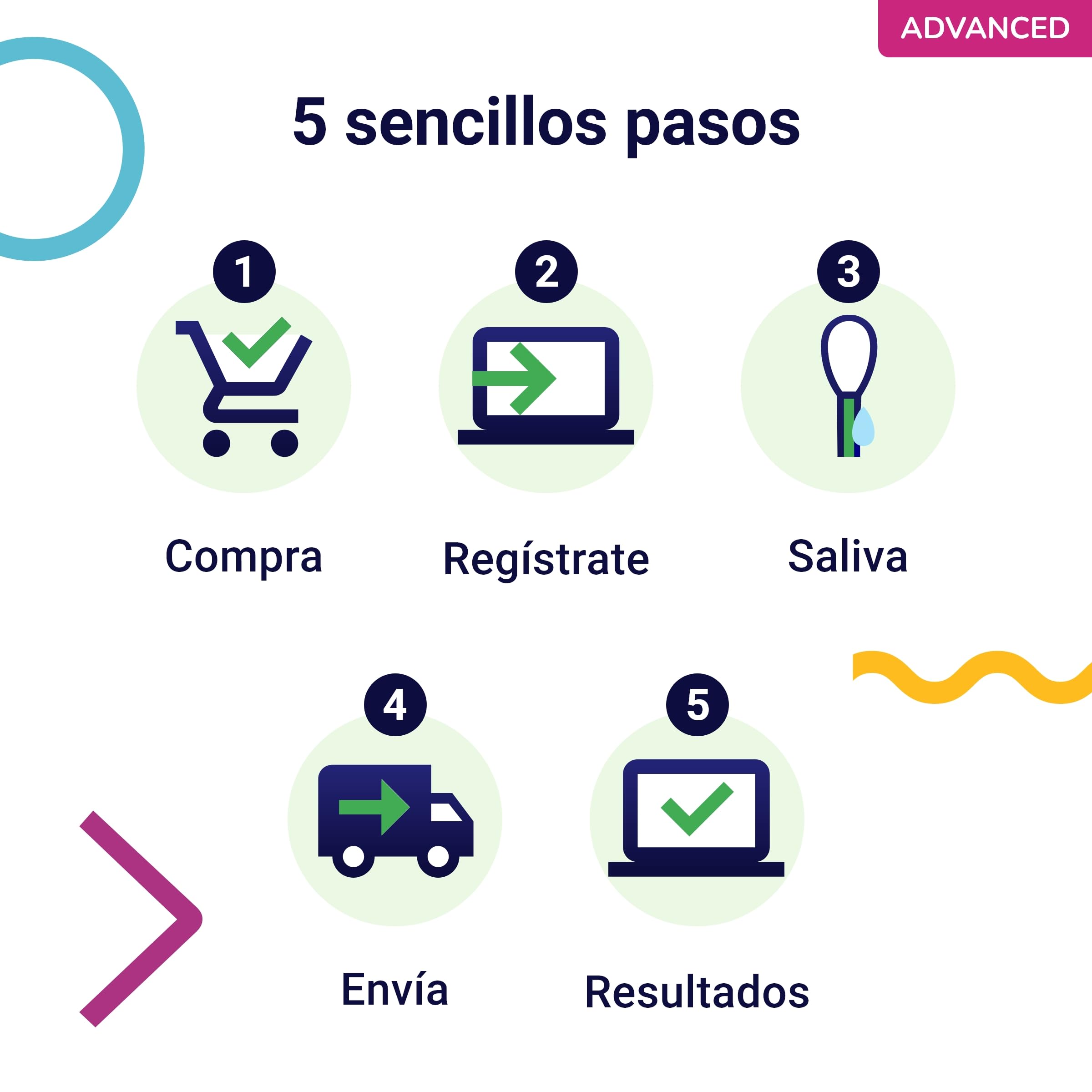 Koko Genetics test ADN perros Advanced (+175 reportes de razas, salud y rasgos). Actualizaciones sin coste