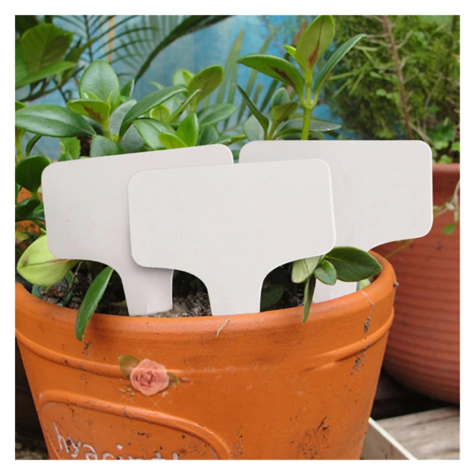 Etichette for piante in ABS | Etichette for piante da giardino in ABS bianco 150 pezzi for l'ordinamento