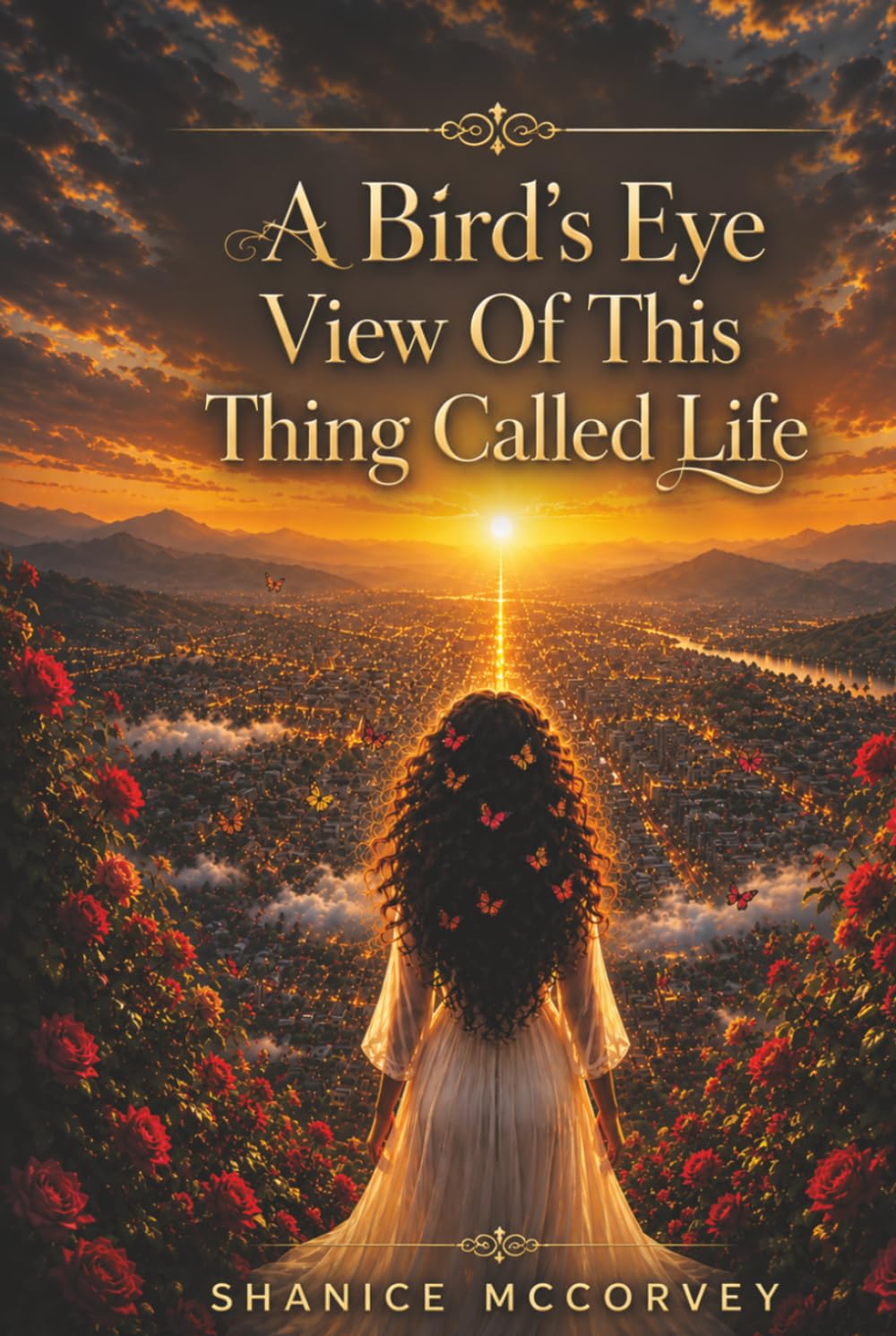 A Bird's Eye View of This Thing Called Life