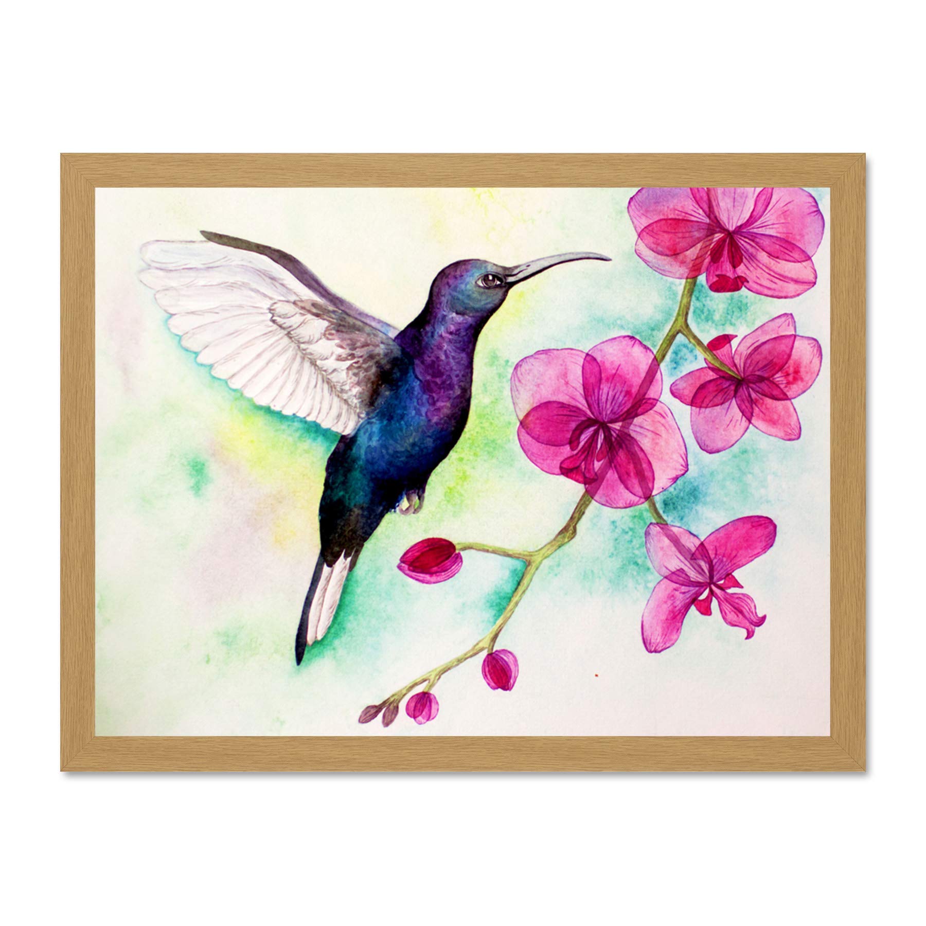 Wee Blue Coo Hummingbird And Orchid Large Framed Art Print Wall Poster 18x24 inch