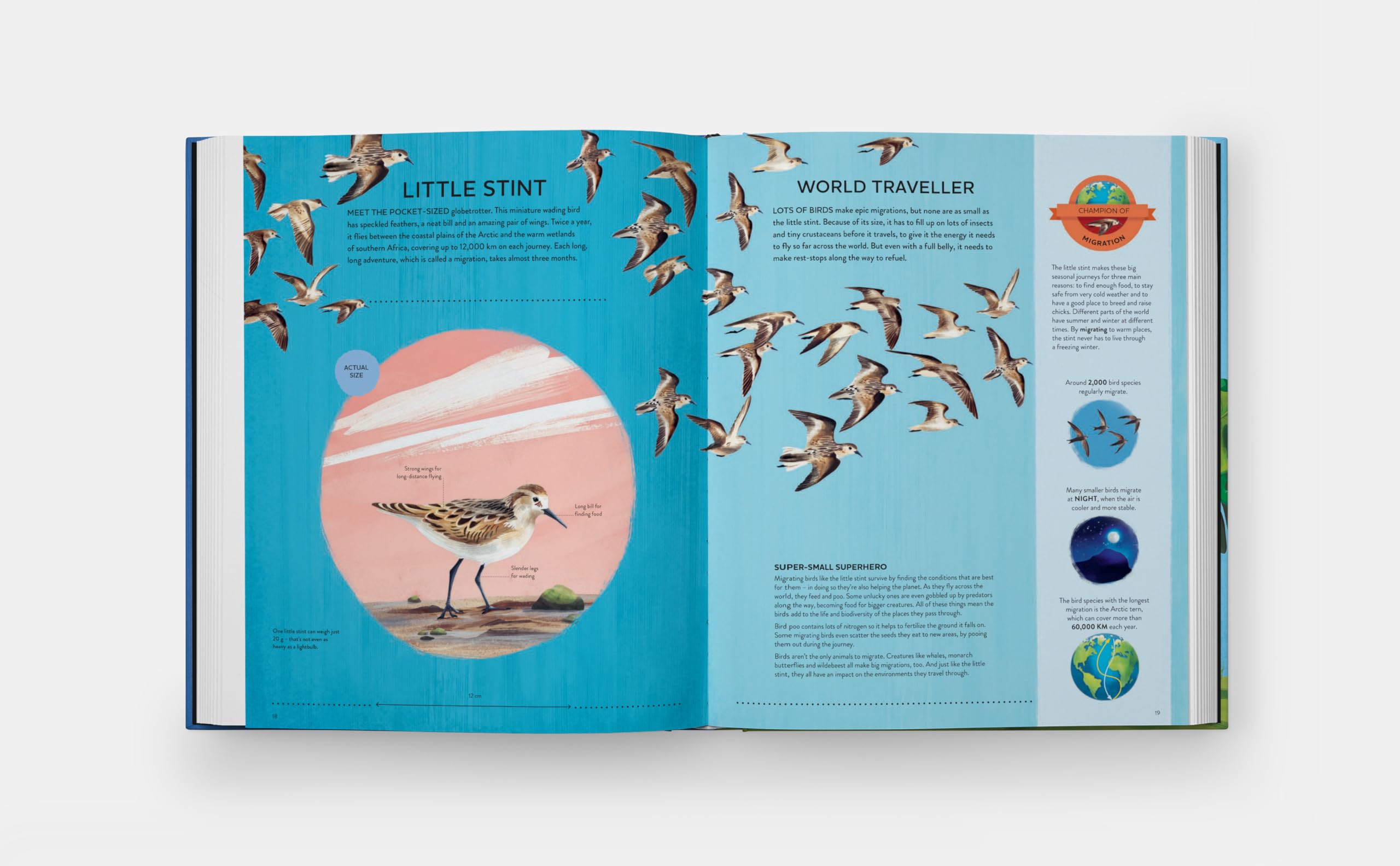 Nature's tiny champions: The Big Book of Little Creatures Doing Mighty Things