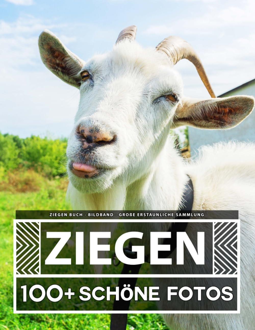 Ziegen Buch - Bildband - Große Erstaunliche Sammlung: 100 Wunderschöne Bildern - Für Kinder und Erwachsene