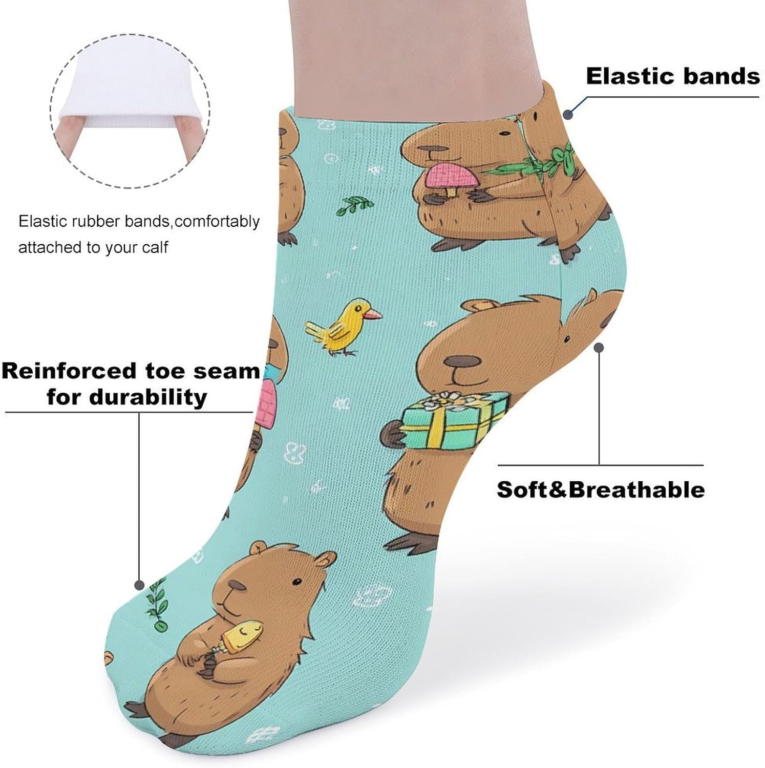 Capybara Bird Cake Present Popsicle No Show Ankle Socks Low Cut Non Slip Flat Boat Line 5 Pairs Set