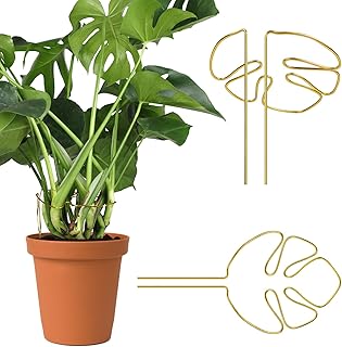 2pcs Monstera Plant Support, Unique Monstera-Shaped Plant Support Ring, Gold