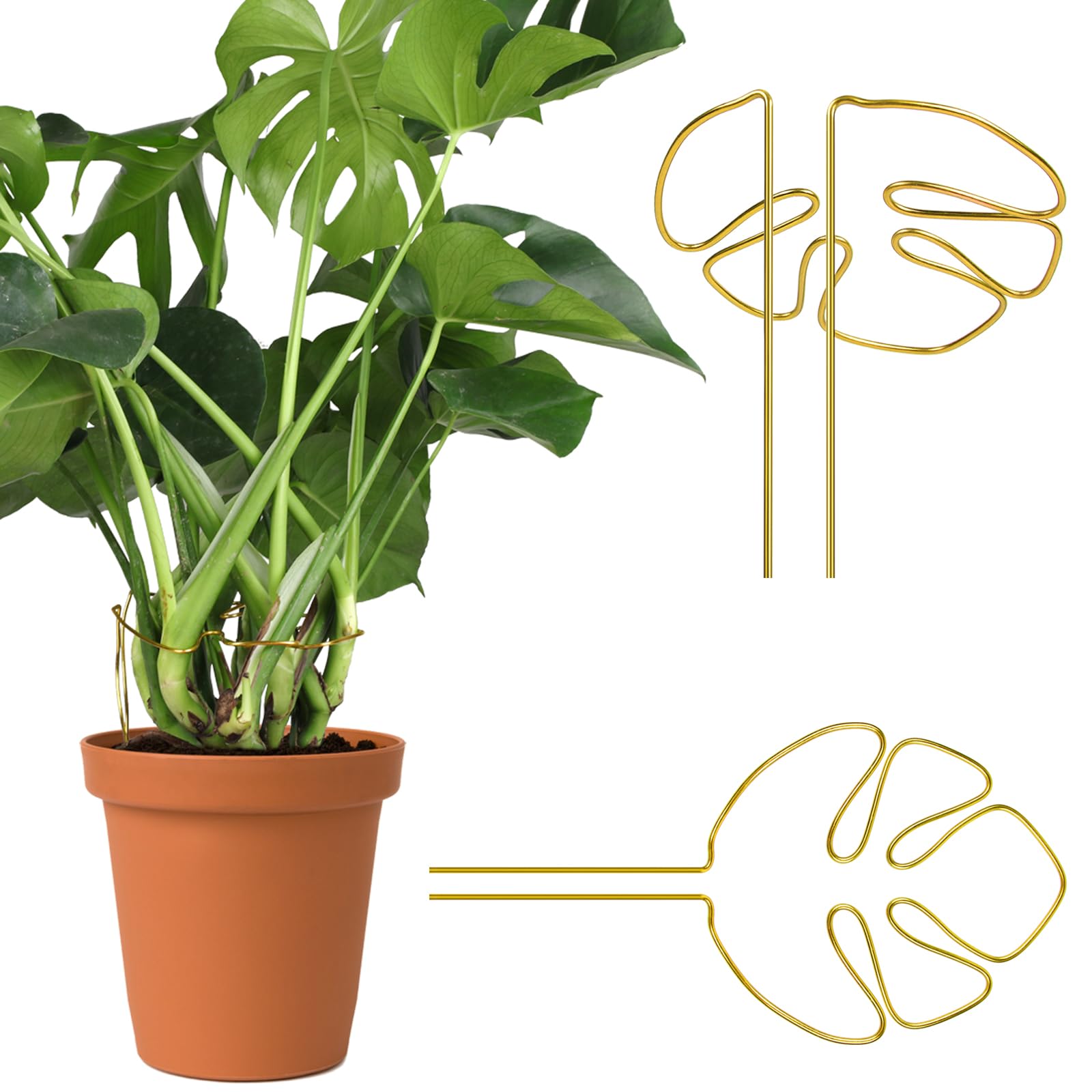 2 pcs Monstera Plant Support,Unique Monstera Shaped Plant Support Ring,Plant Support Stakes for Outdoor Plants and Indoor Plants (Gold)