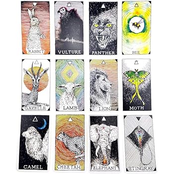 Un Mazzo Di Tarocchi Da 63 Carte Per Feste Lingua Inglese Vogueyouth Tarocchi Degli Spiriti Animali Ifgf Org Au