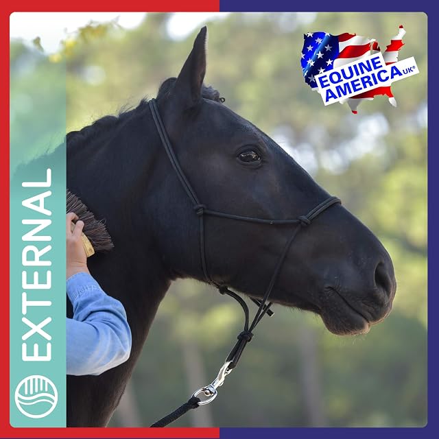 Foto 6 de 7 de Like Ice Equine America 2.7 kg Crema tópica para aliviar la sobrecarga de Las extremidades del Caballo