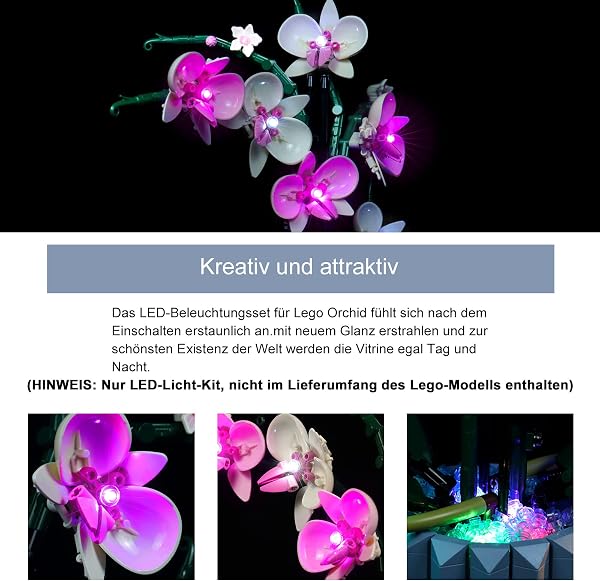 BrickBling Juego de Luces LED Compatible con Lego 10311 Orquídea Botánica Set (solo luces, no incluye bloque de construcción), versión de control - 3
