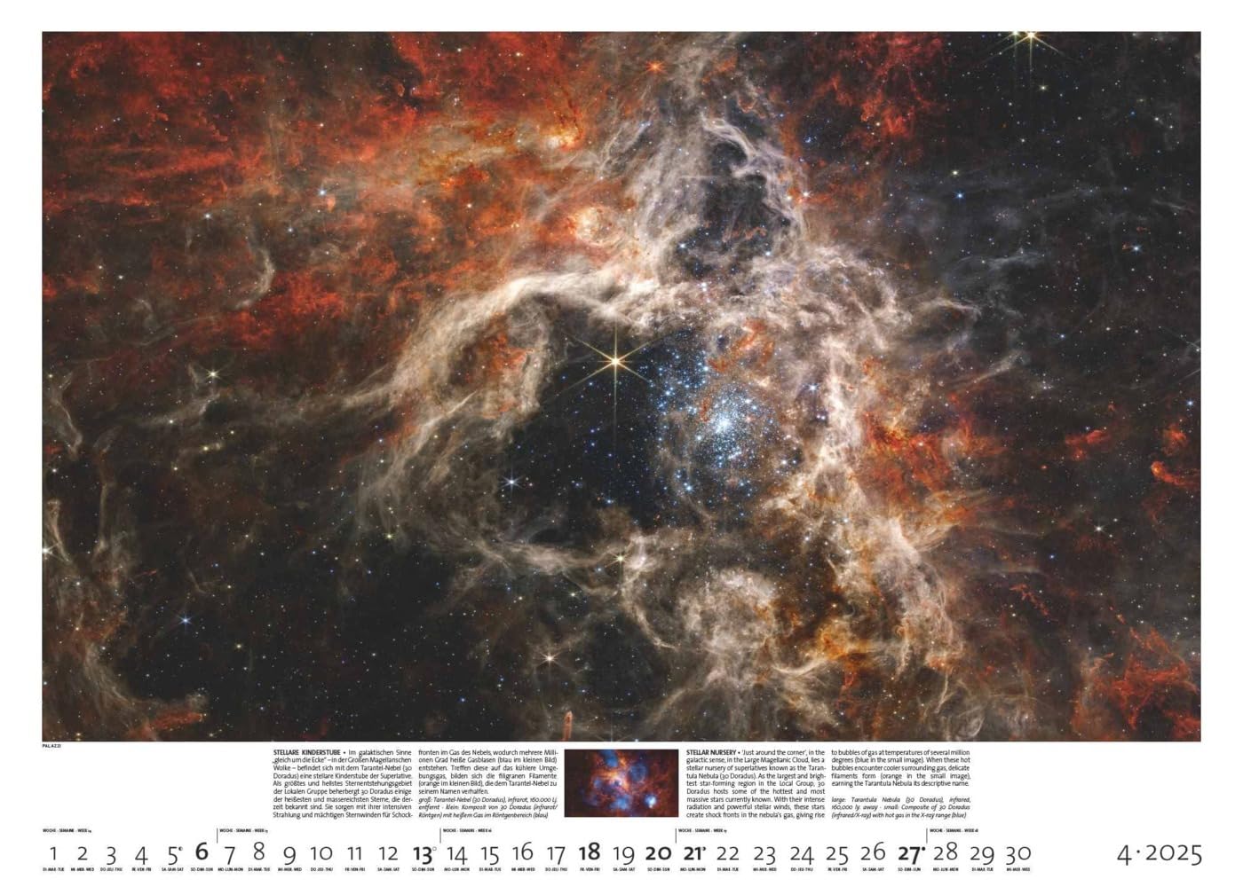 PALAZZI - Sternzeit 2025 Wandkalender, 70x50cm, Posterkalender mit brillanten Aufnahmen aus unserem Universum, eine astronomische Reise in Zeit und ... Eine astronomische Reise in Zeit und Raum
