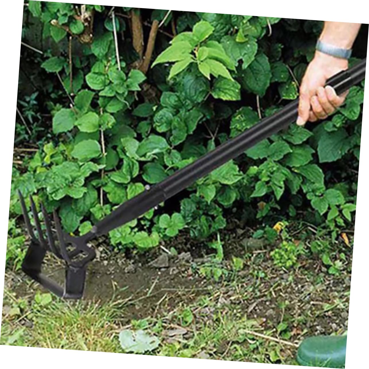 Houe de Jardin à Étrier en Acier Inoxydable, Râteau de Désherbage Léger, Outil de Jardinage pour Mauvaises Herbes et Sol, Manche Long