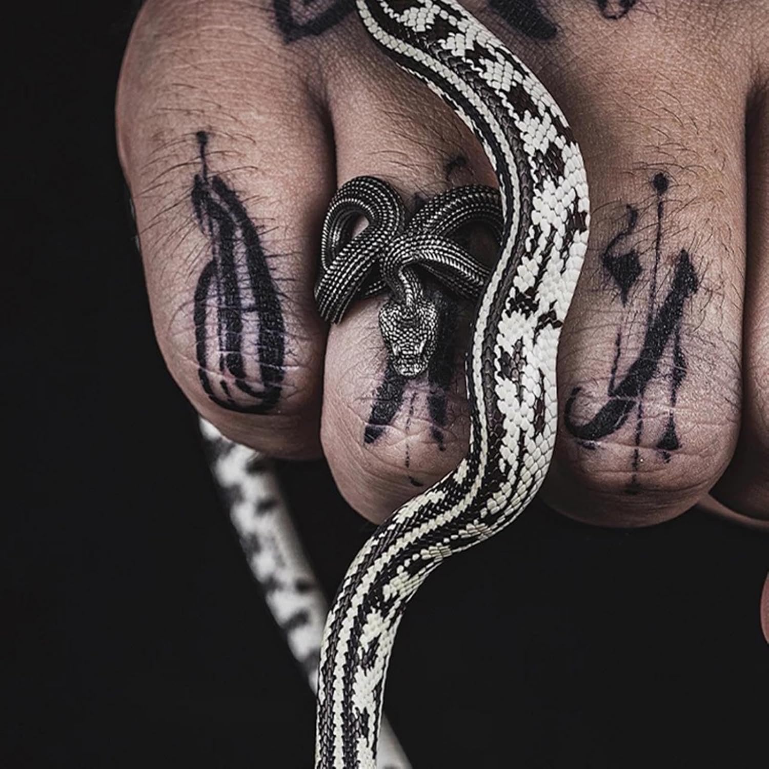 Gothic Black Snake Ring Open Adjustable Rattlesnake Ring Punk Snake Animal Statement Ring Personality Serpent Index Finger Ring Hip Hop Y2k Jewelry for Women - Image 2