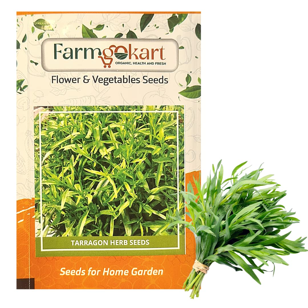 farmgo5 Gms TARRAGON Herb Seeds|for Home Gardening, Farming, Hydroponics and Poly Houses|