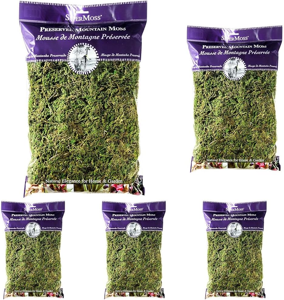 SuperMoss (23802 Mountain Moss Preserved, Fresh Green, 8 Ounces (Pack of 10)