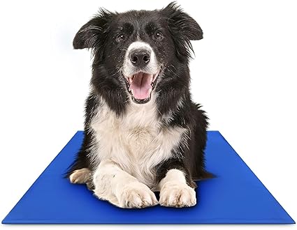 The Green Pet Shop Chillz Gel Mat, Large - Pressure-Activated Cooling Pad for Pets 25-50 lbs - Non-Toxic, No Water or Refrigeration Needed - Ideal for Home, Travel & Crates