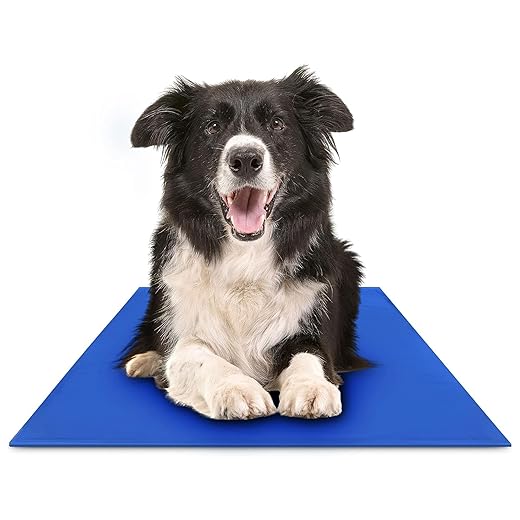 Chillz Dog Cooling Mat, Large - Pressure Activated Pet Cooling Mat for Dogs - No Water or Refrigeration Needed - Non-Toxic Gel Cooling Pad, Ideal for Home, Travel and Crates - 36 x 20 Inches