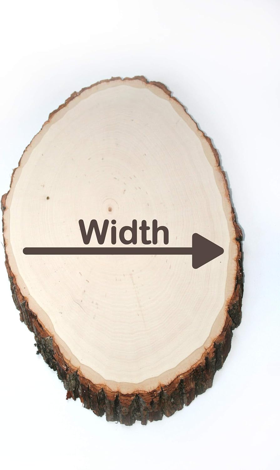 Wilson Basswood Round/Oval Plaque - Bulk Quantity Value Box Wood Slices, X-Large 11-13" D (Pack of 10)