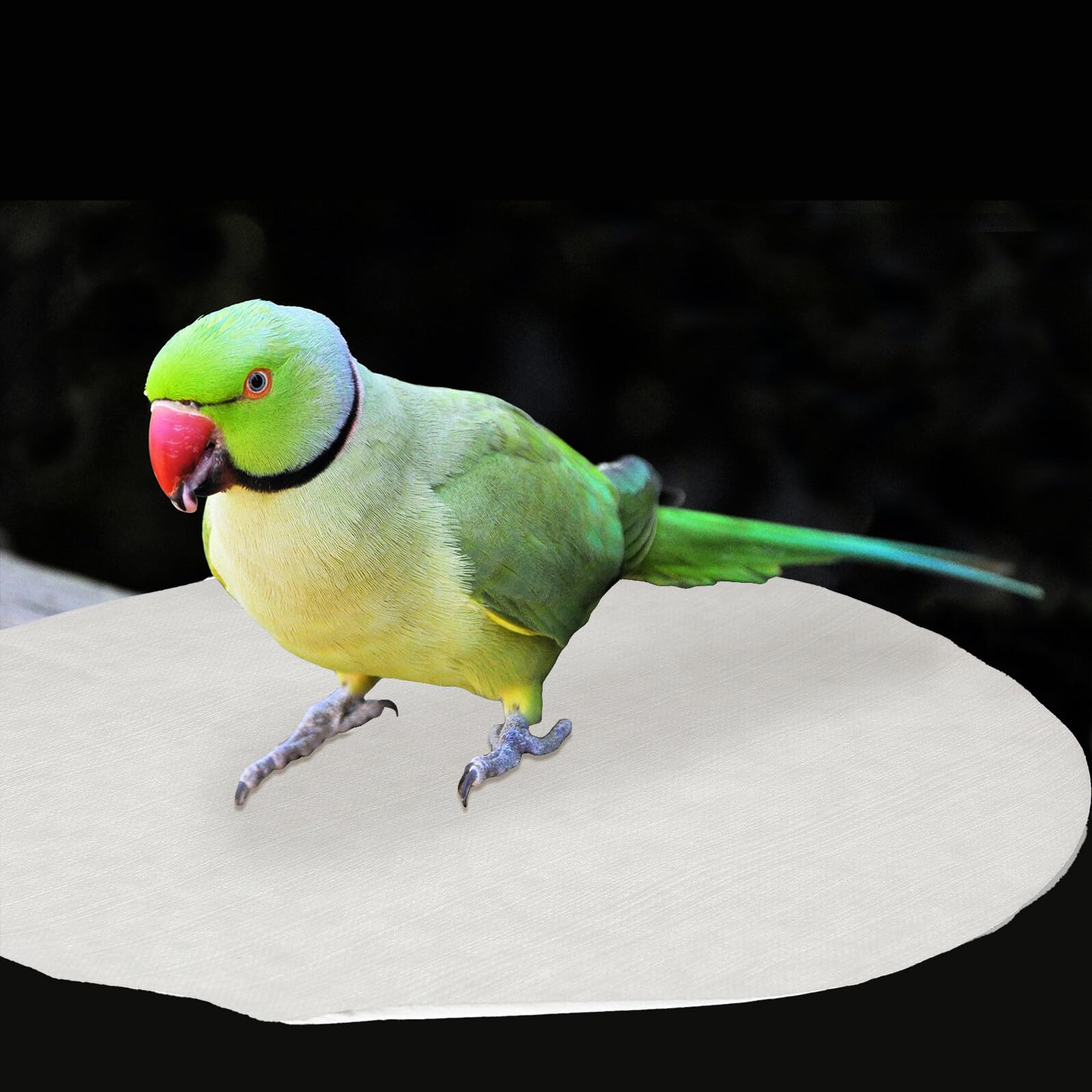 100 Piezas Unidades Papel Desechable para Jaulas de Pájaros Absorbente y Natural Cojín Protector para Jaulas de Fácil Limpieza y Reducción de Olores Diámetro