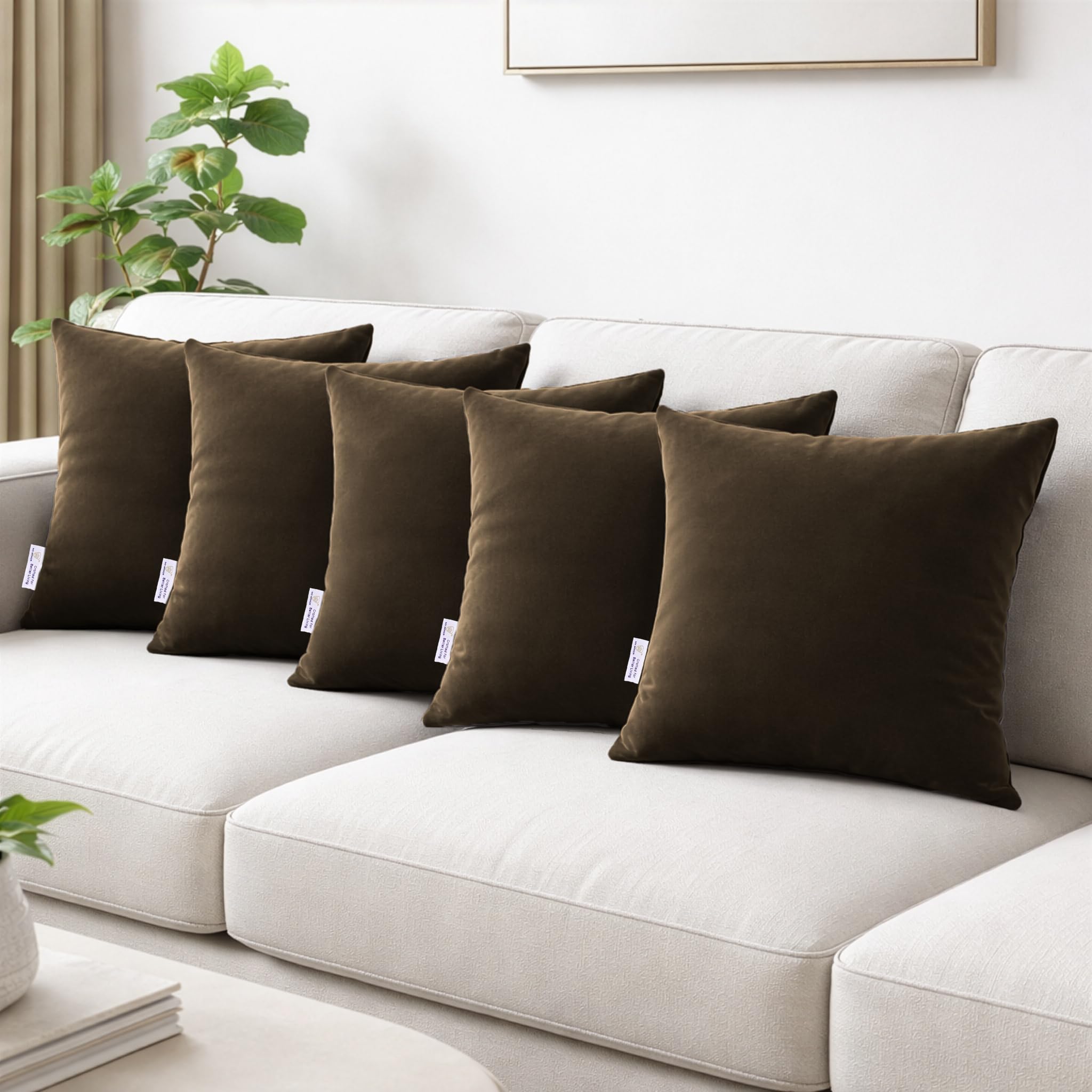 MY ARMOR Microfibre Cushion for Sofa | Set of 5 Soft & Fluffy Square Sofa Cushions | Decorative Sofa Pillows for Bed, Chair, Car & Living Room | Velvet Cover | Brown | 16 x 16 Inch