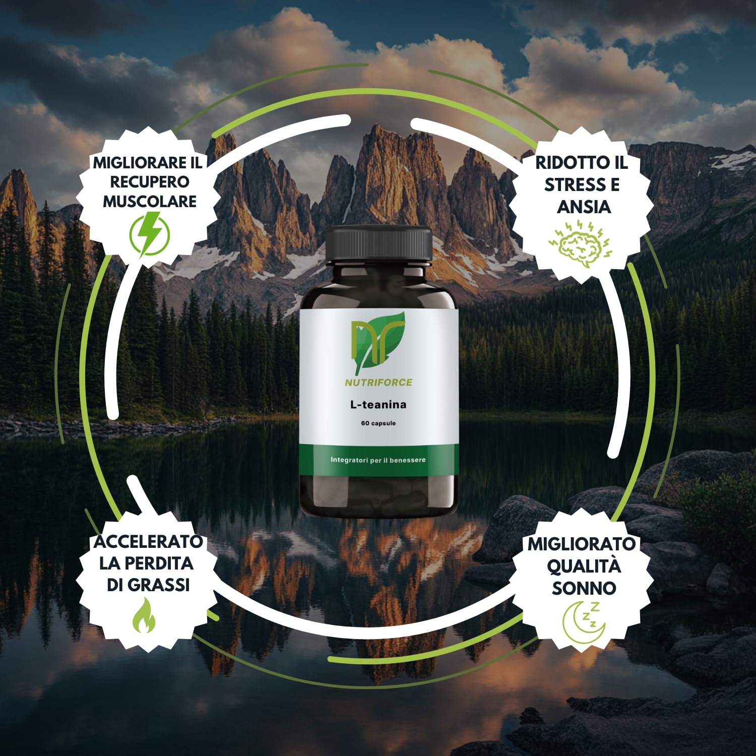 L-Théanine – 60 capsules – Haute concentration