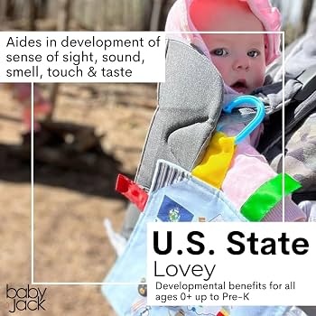 Amazon.com: Baby Jack & Co 8x8” Learning Lovey Michigan State Tag