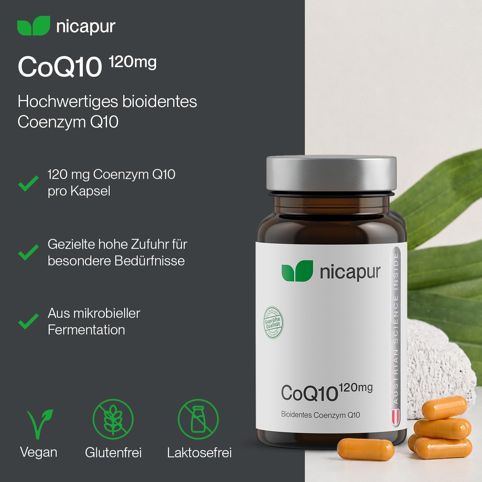 nicapur® Coenzym Q10 120 mg pro Kapsel I 100 % reines, bioidentes COENZYM Q10 I 60 Kapseln I laborgeprüft I in Österreich produziert I vegan