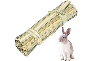 ScentTunine Rabbit Grass Tunnel: Ultimate Comfort and Fun for Small Pets