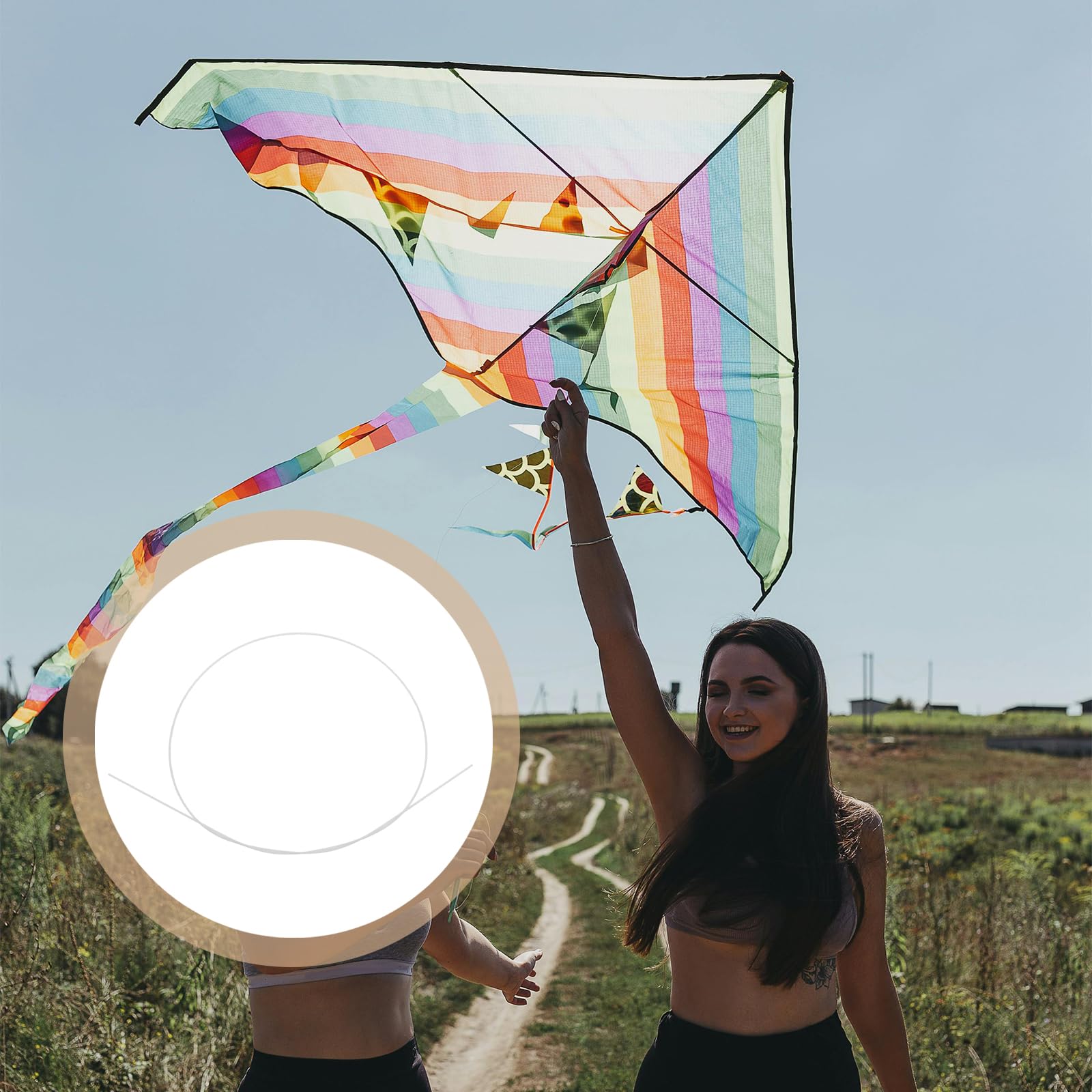 HQ Kites and Designs 175970 Stake Line Winder Kite, Assorted Colors