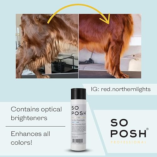 Miniatura 6 de So Posh I'm So Fantastic Dog Shampoo - Champú de limpieza profunda, con colágeno, queratina y abrillantadores ópticos, adecuado para todas las