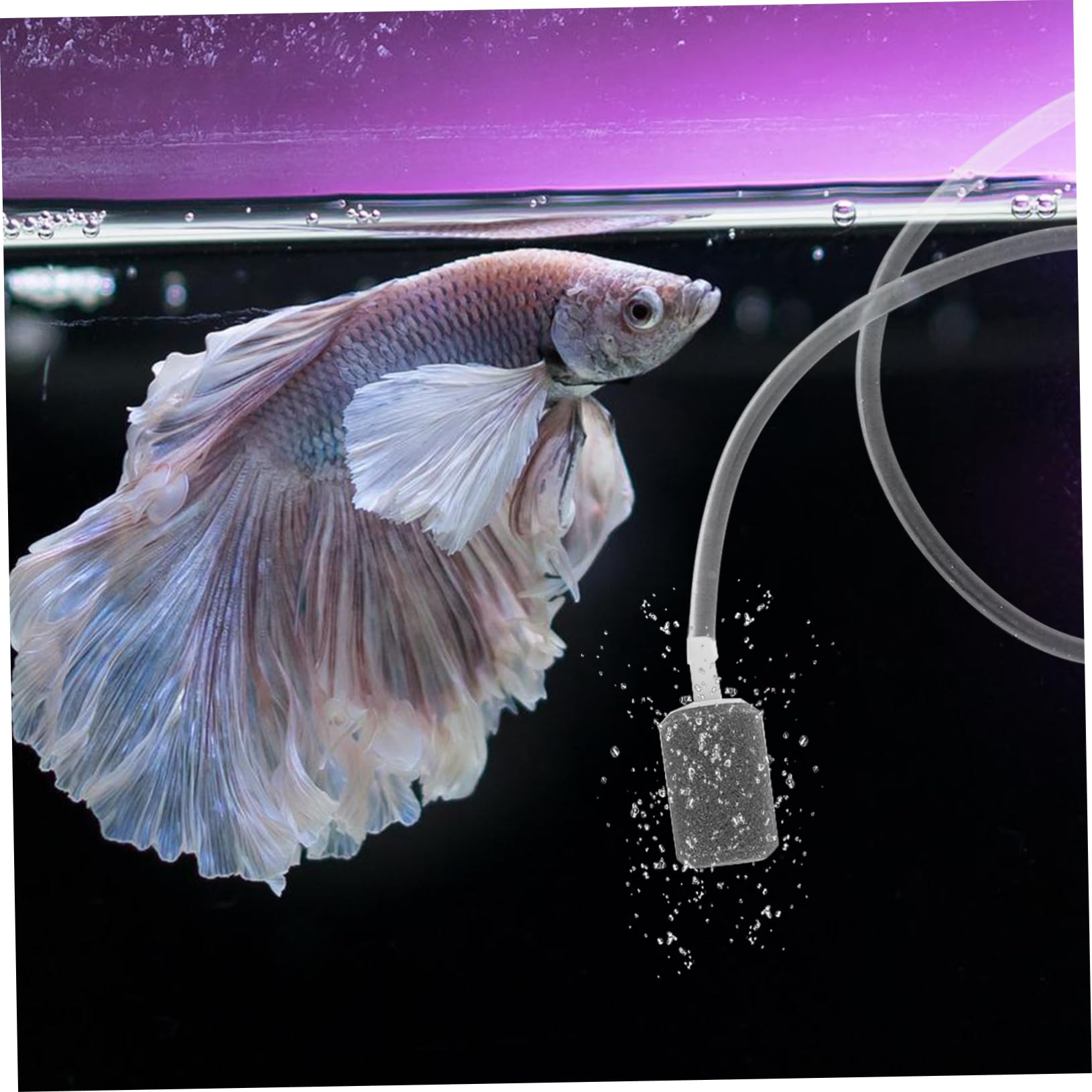 ABOOFAN 1 Satz Sauerstoffpumpe für Fischbecken tragbare Luftpumpe kleine Luftpumpe Versorgung mit Aquarien USB Ladeluftpumpe Aquarium Blaser Angelzubehör Belüftungspumpe Plastik Weiß