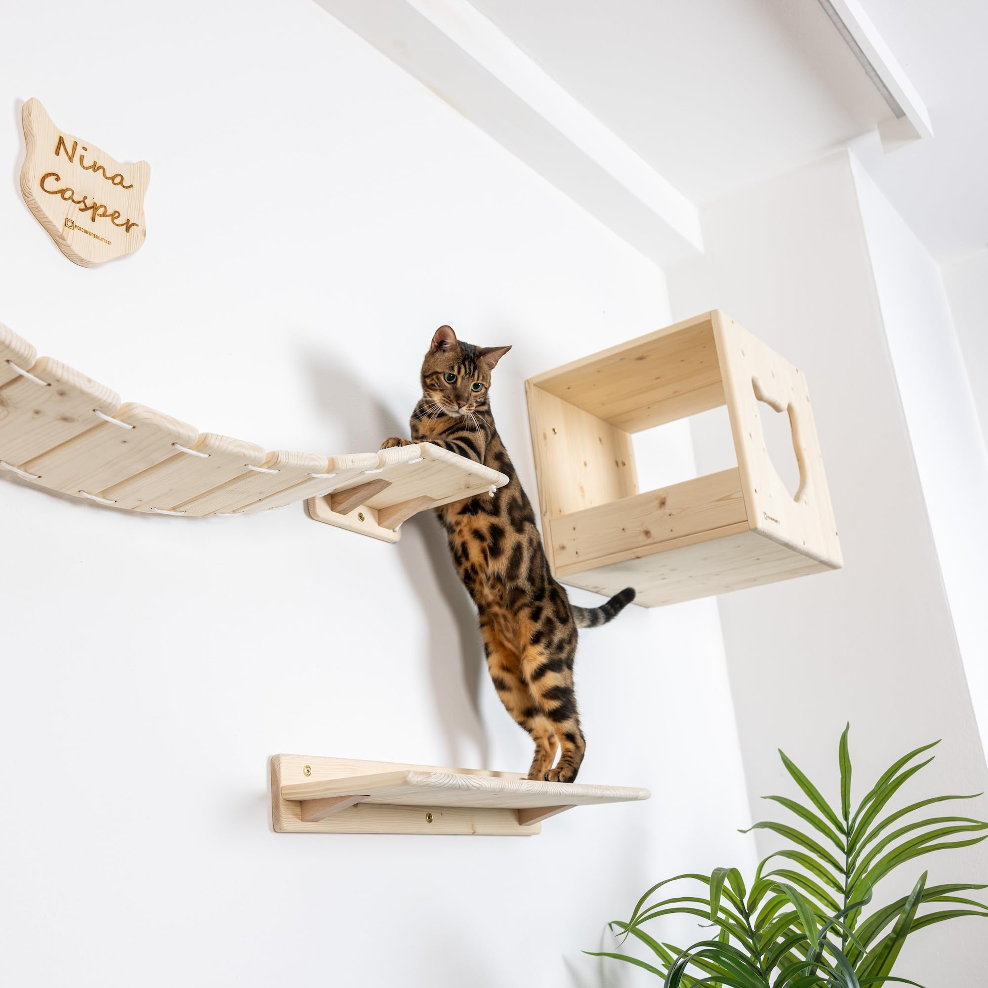 Mensole per Gatti da Parete in Legno d'Abete PEFC Artigianali, Mensola Gatto 40 cm, per Arrampicata e Percorso da Muro per Gatti con Resistenza Fino a 20 kg – Percorsipergatti