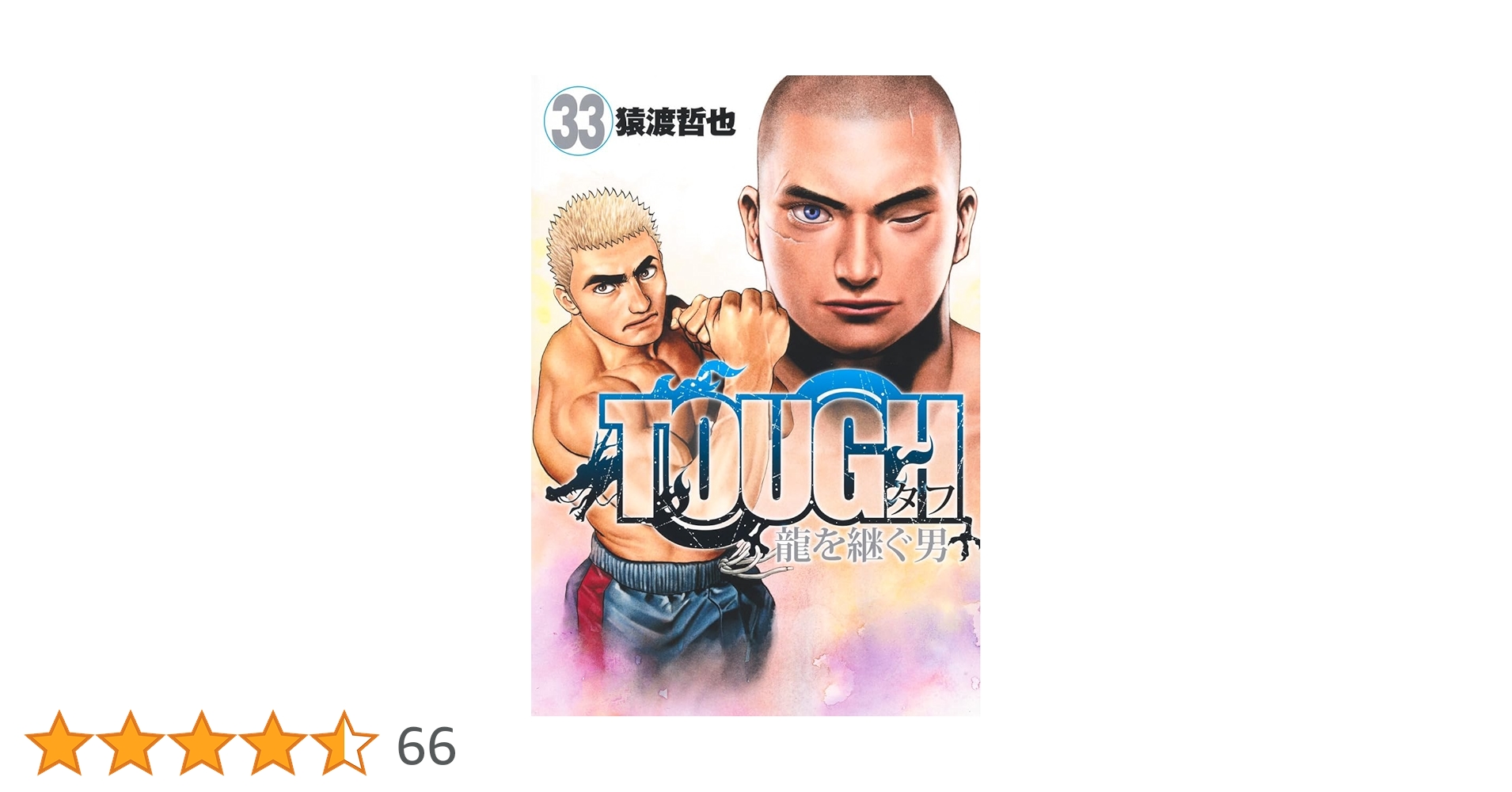TOUGH 龍を継ぐ男 33 (ヤングジャンプコミックス) | 猿渡 哲也