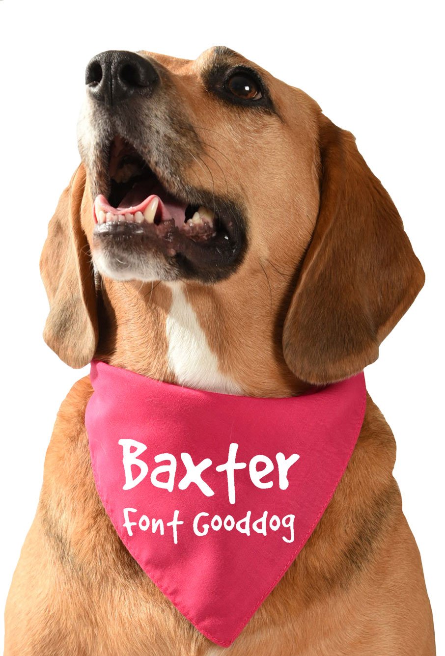 Personalised Dog Bandana (Cerise Pink, Font - Good Dog (comical))