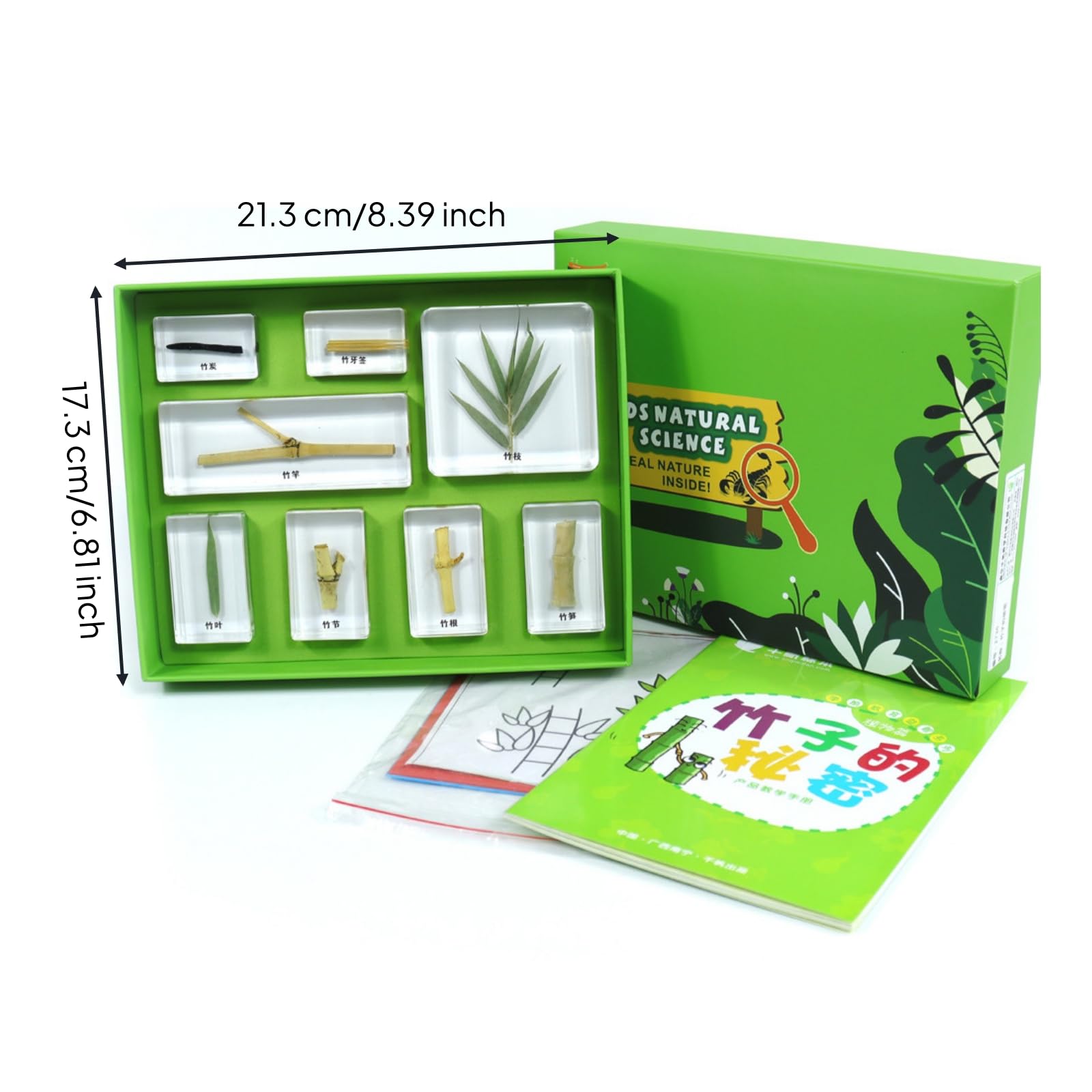 Kit Especímenes en Resina Escolar Muestrario Especímenes Práctico Kit Ciencia con Manual para Estudiantes, Aprendices, Colegio, El Secreto Del Bambú