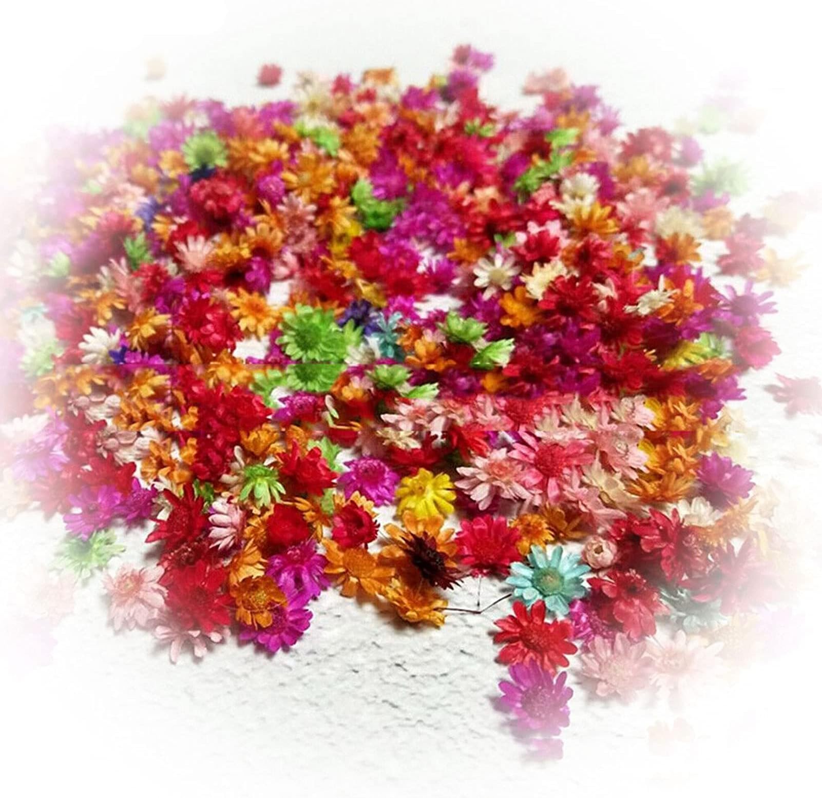 KOqwez33 Preserved Dried Flower Plant, Dried Pressed Flowers and Leaves, 100Pcs Dried Flower Head Chrysanthemum DIY Handmade Craft Nail Art Filling Decor - Multicolor